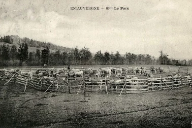 Le parc