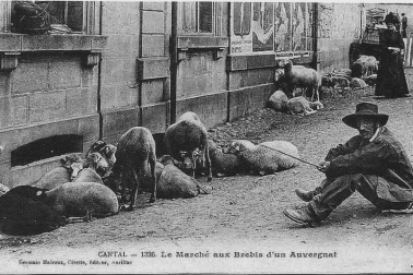 Le marche aux produits d un Auvergnat