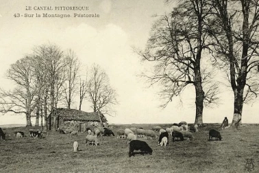 Sur la montagne pastorale