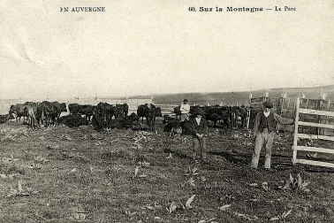 Sur la montagne le parc