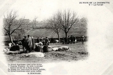 Au pays de la chambrette le foirail