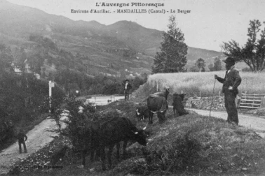 Environ D'Aurillac le berger