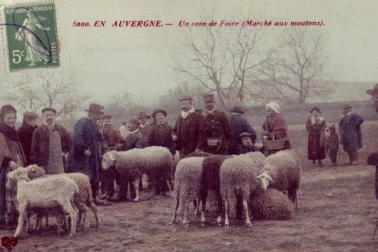 Un coin de foire marche aux moutons