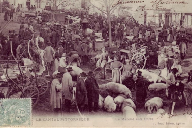 Le marche au porcs