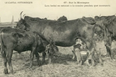 Sur la montagne Cantalienne
