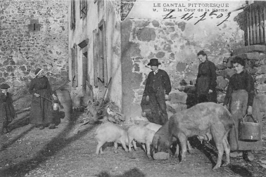 Dans la cour de la ferme