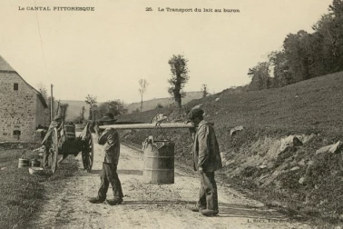 Le transport du lait au buron Cantal pitoresque