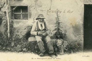 Montagnard pilant du tabac