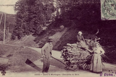 Dans la montagne descente du bois