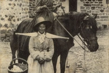 Type d Auvergne