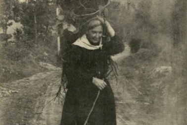 A la cueillette du bois mort