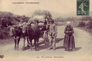 Un attelage Auvergnat L auvergne pitoresque