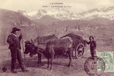 Un attelage du pays