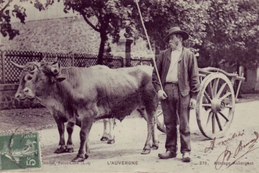 Attelage Auvergnat