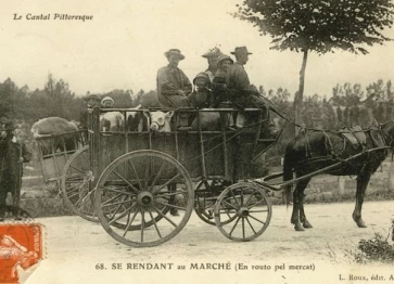 Locomotion