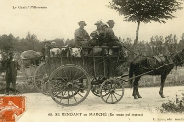 Se rendant au marche