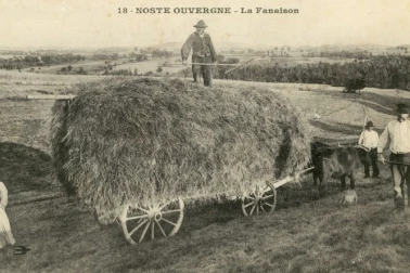 La fenaison Noste ouvergne