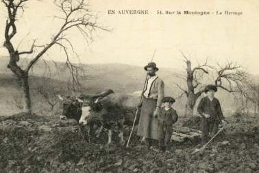 Sur la montagne le hersage