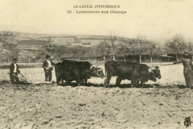 Laboureurs au champs le Cantal pittoresque