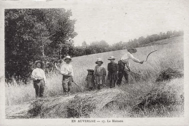 La moisson