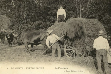 La fenaison le Cantal pittoresque