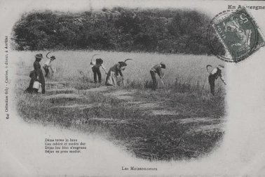 Les moissonneurs