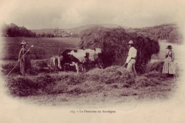La fenaison en Auvergne
