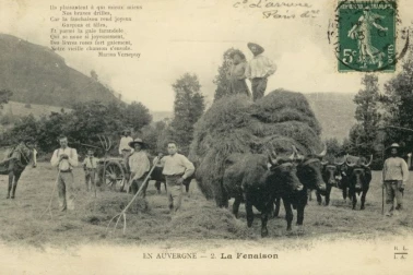 La fenaison
