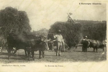 La rentree des foin l Auvergne illustre
