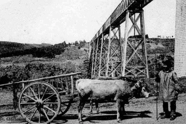 Viaduc de Garabit route un bel attelage sous le Viaduc en Auvergne dans le Cantal