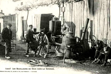 Les Bouilleurs de Crus dans la Gironde