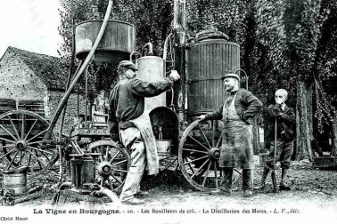 La vigne en Bourgogne les bouilleurs de cru la distillation des marcs