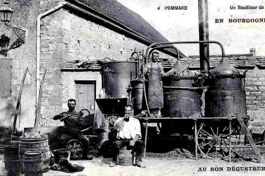 Pommard Alambic en Bourgogne