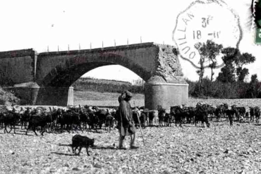 Le chevriers et son troupeau pres d  un ancien pont