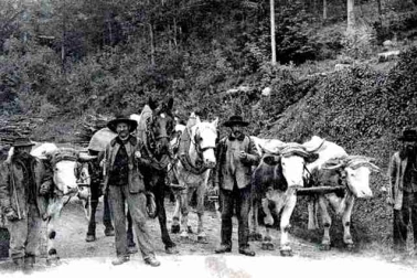 Les charretiers dans la montagne aux transport du bois