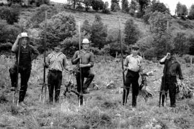 Malbo Cantal  extraction de la gentiane pres de Malbo par une equipe de Portugais en juillet 1970