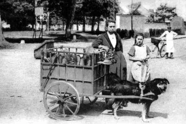 La boulangere et son attelage de chien