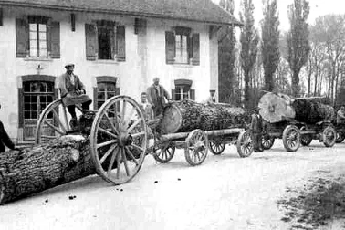 Les bucherons  le transport du bois