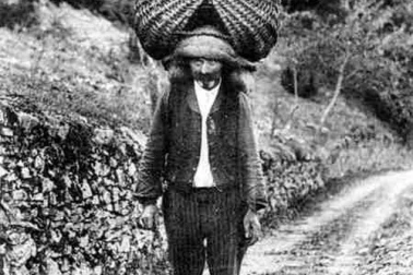 Porteur de vendanges