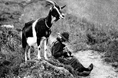 Journee de la femme en Auvergne