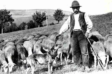 Le berger et son troupeau dans la montagne