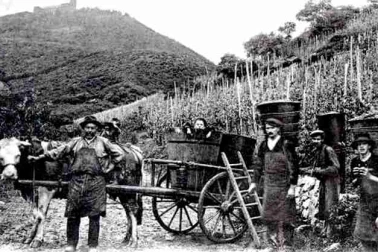Groupe de vignerons d  autrefois dans le bas Cantal