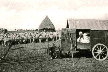 Berger de moutons dans sa cabane