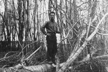 Un bucheron dans les bois vers 1940