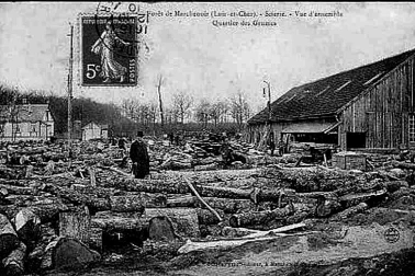 Foret de Marchenoir - Scierie vue d  ensemble