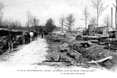 Foret de Marchenoir - La scierie allee du Baron train de rails