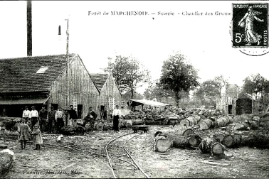 Foret de Marchenoir la Scierie chantier des grumes