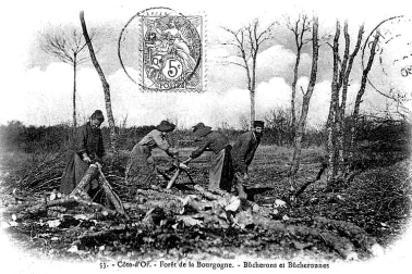 Bucherons et bucheronnes au travailen Foret en Bourgogne