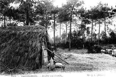 Hutte de bucheron a Arcachon