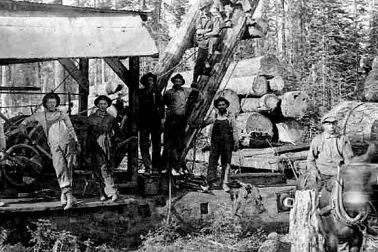 Vue des bucherons chez un exploitant